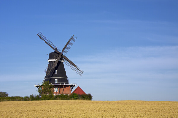 Krageholm Windmill Picture Board by Arterra 