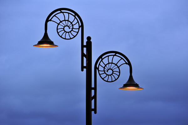 Ammonite-Design Streetlamp at Night, Lyme Regis, D Picture Board by Arterra 