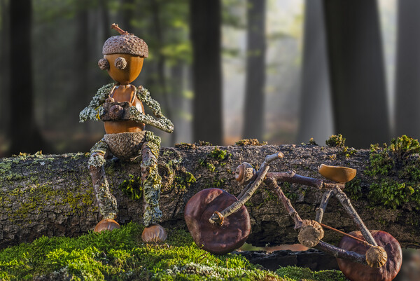 Little Acorn Photographer Taking a Break in Forest Picture Board by Arterra 