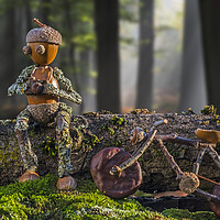 Buy canvas prints of Little Acorn Photographer Taking a Break in Forest by Arterra 