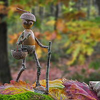 Buy canvas prints of Little Acorn Man Walking in Autumn Forest by Arterra 