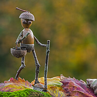 Buy canvas prints of Little Acorn Man Walking in Autumn by Arterra 
