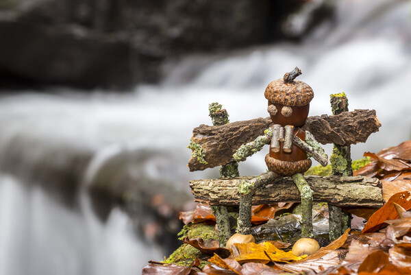 Little Birdwatcher on Bench at Waterfall Picture Board by Arterra 