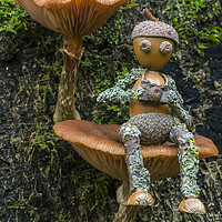 Buy canvas prints of Little Photographer on Mushroom by Arterra 