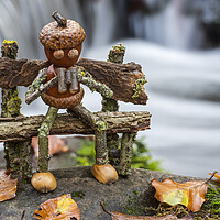 Buy canvas prints of Little Acorn Man and Waterfall by Arterra 