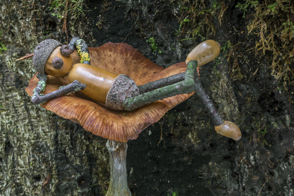 Lazy Acorn Man on Mushroom Picture Board by Arterra 