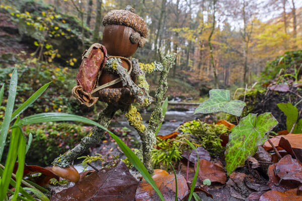 Little Acorn Man Hiking in Forest Picture Board by Arterra 