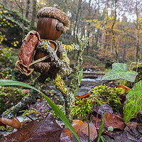 Buy canvas prints of Little Acorn Man Hiking in Forest by Arterra 
