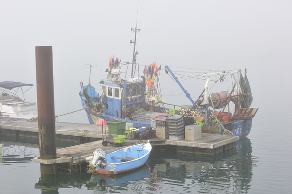 Fishing Boat in Thick Fog Picture Board by Arterra 