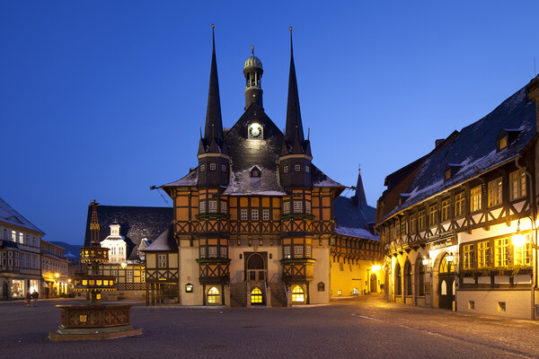 Wernigerode Town Hall Picture Board by Arterra 