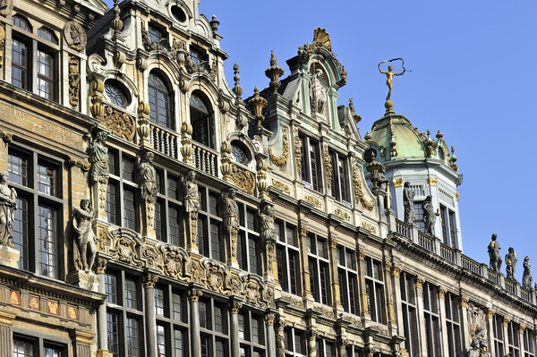 Guildhalls at the Grand Place, Brussels Picture Board by Arterra 