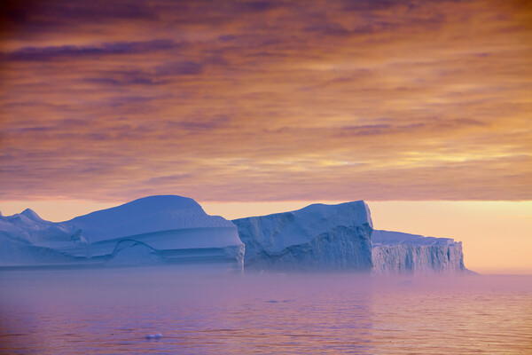 Kangia Icefjord at Sunset in Greenland Picture Board by Arterra 