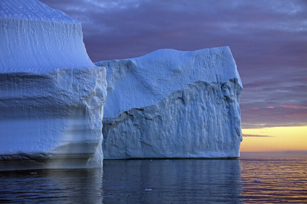 Icebergs in Greenland Picture Board by Arterra 
