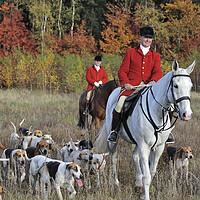 Buy canvas prints of Drag Hunting in Autumn by Arterra 