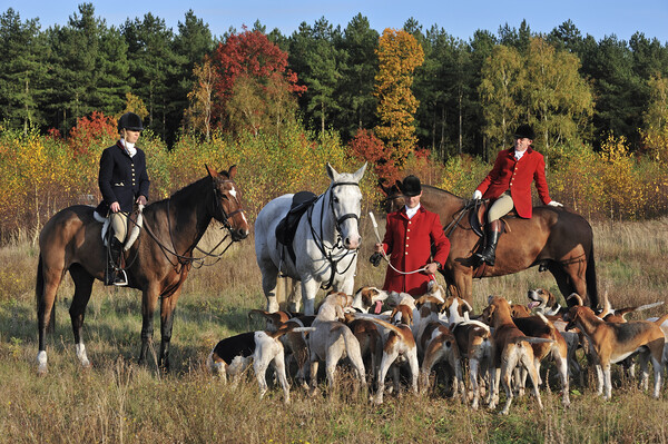 Hunters and Hounds in Autumn Picture Board by Arterra 