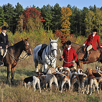Buy canvas prints of Hunters and Hounds in Autumn by Arterra 