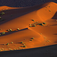 Buy canvas prints of Sossusvlei in the Namib Desert by Arterra 