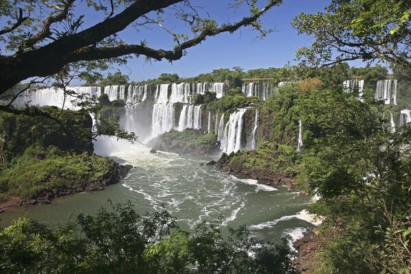 Iguazu Falls / Iguassu Falls Picture Board by Arterra 