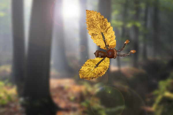 Flying Little Acorn Man Picture Board by Arterra 