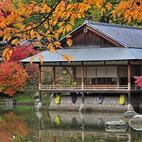 Buy canvas prints of Tea House in Japanese Garden in Autumn by Arterra 