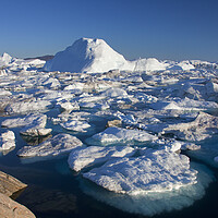 Buy canvas prints of Icebergs in the  Kangia Icefjord by Arterra 