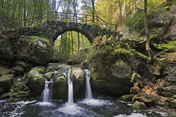 Cascade and Old Bridge in Mullerthal Picture Board by Arterra 