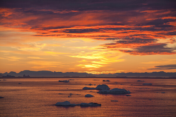 Icebergs at Sunset, Greenland Picture Board by Arterra 