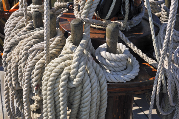 Coiled Ropes on Board of Frigate Picture Board by Arterra 