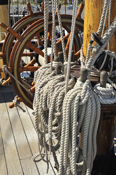 Frigate's Steering Wheel and Ropes Picture Board by Arterra 