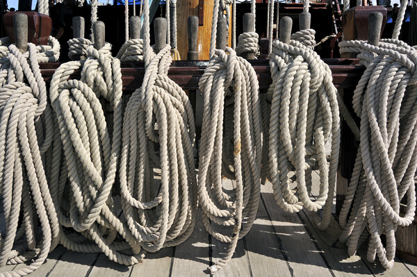 Coiled Ropes on Board of Frigate Grand Turk Picture Board by Arterra 