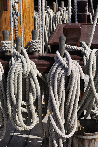 Ropes and Knots on Deck Picture Board by Arterra 