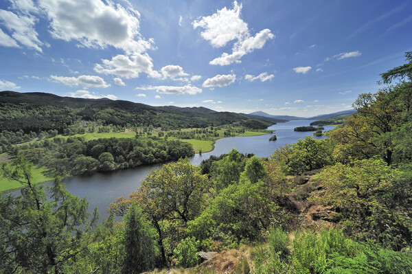 Queen´s View over Loch Tummel, Pitlochry Picture Board by Arterra 