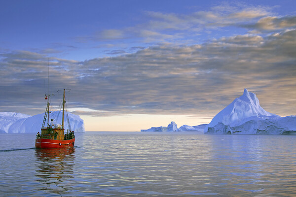 Boat in the Kangia Icefjord, Greenland Picture Board by Arterra 