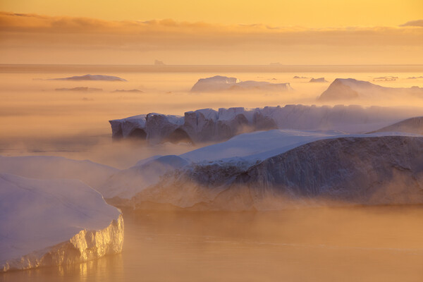 Icebergs at Sunset, Greenland Picture Board by Arterra 