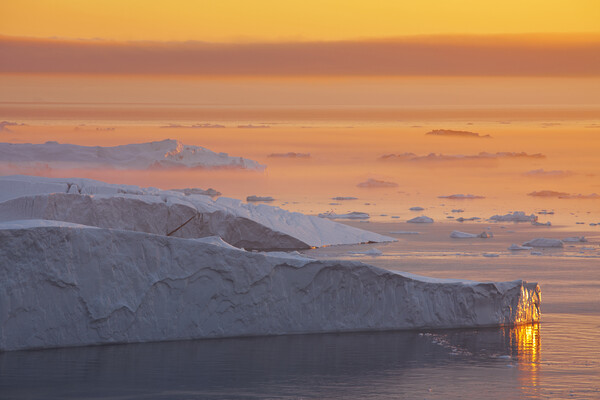 Icebergs at Sunset in the Arctic Picture Board by Arterra 