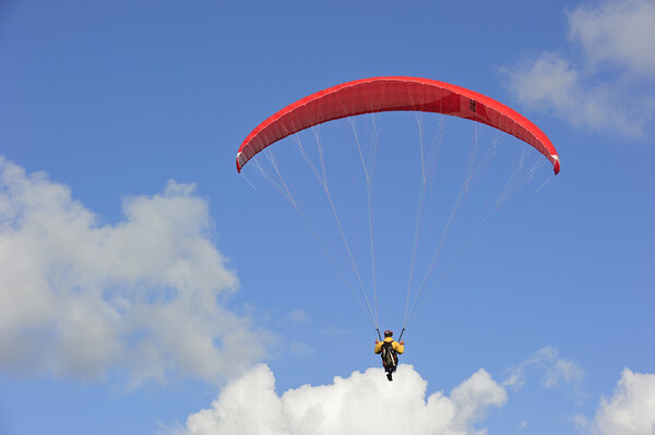Paraglider Picture Board by Arterra 