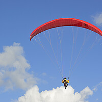 Buy canvas prints of Paraglider by Arterra 