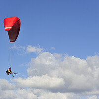 Buy canvas prints of Paragliding by Arterra 