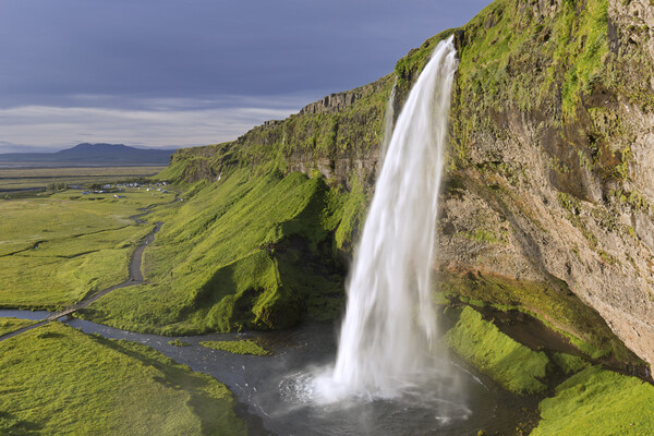 Seljalandsfoss Waterfall in Summer, Iceland Picture Board by Arterra 