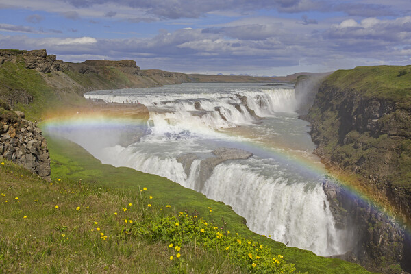 Rainbow over Gullfoss Waterfall, Iceland Picture Board by Arterra 