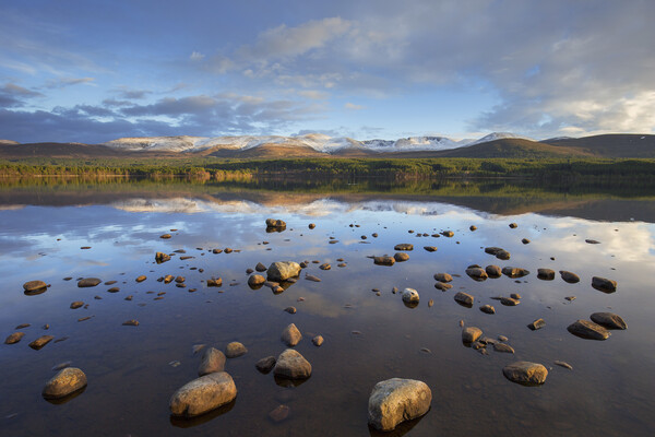 Loch Morlich and Cairngorm Mountains Picture Board by Arterra 
