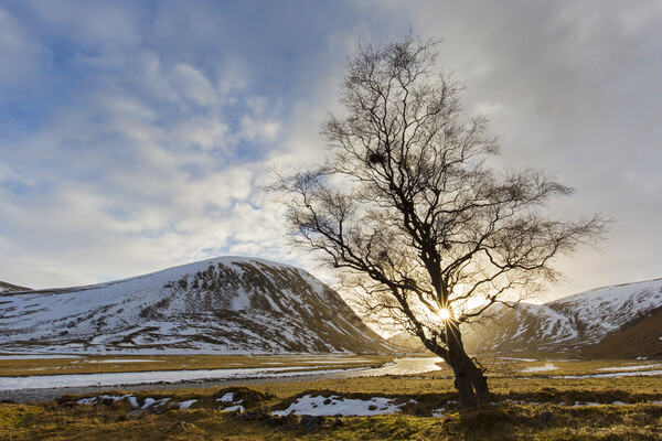 Strathdearn Valley in Winter, Scotland Picture Board by Arterra 