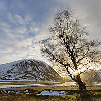 Buy canvas prints of Strathdearn Valley in Winter, Scotland by Arterra 