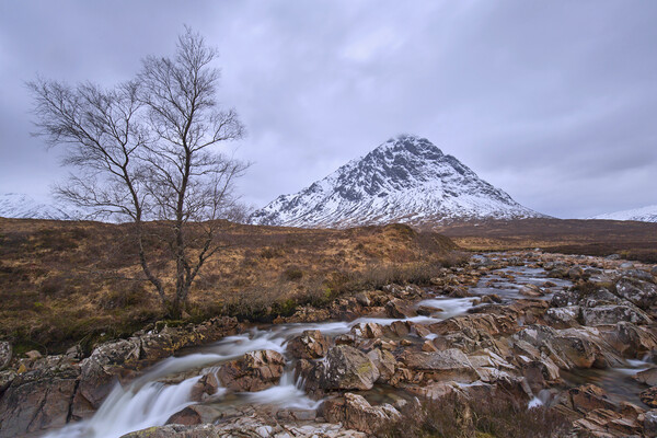 River Coupall and Buachaille Etive Mòr in Winter Picture Board by Arterra 