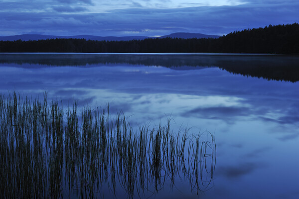 Loch Garten at Night, Scotland Picture Board by Arterra 
