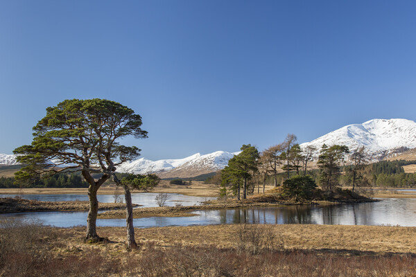 Loch Tulla in Winter, Scotland Picture Board by Arterra 