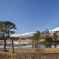 Buy canvas prints of Loch Tulla in Winter, Scotland by Arterra 