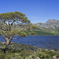 Buy canvas prints of Loch Maree and the Mountain Slioch, Scotland by Arterra 
