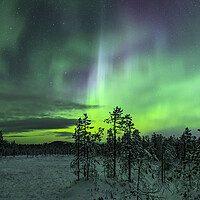 Buy canvas prints of Northern Lights by Arterra 
