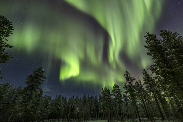 Aurora borealis Picture Board by Arterra 